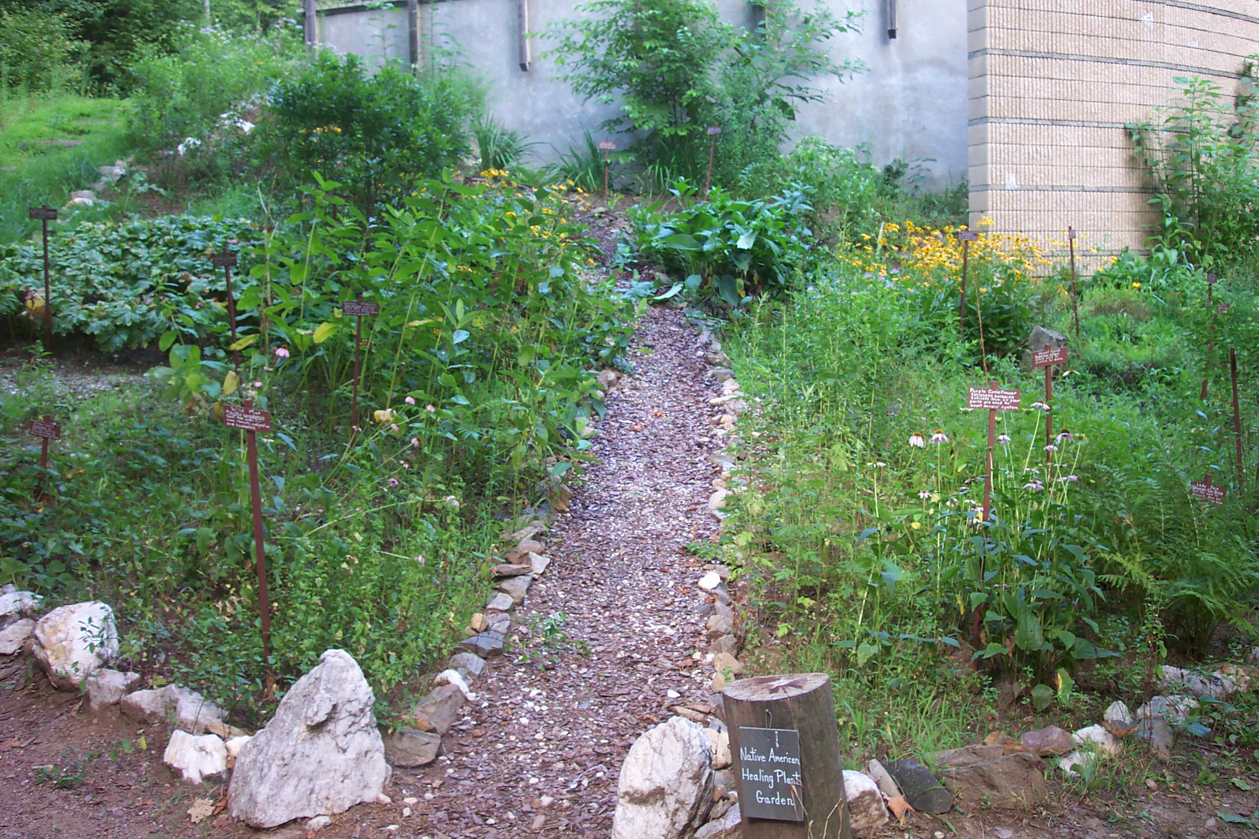 Healing Plants Garden