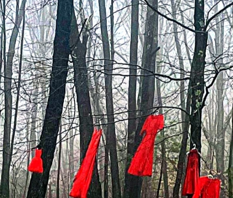 5/8 – 5/9 | REDress Project Installation