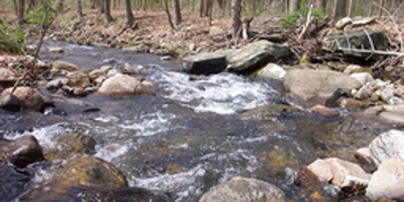 5/16 – River Ecology and Birding Walk with Susan Scherf