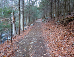 LHAC path image