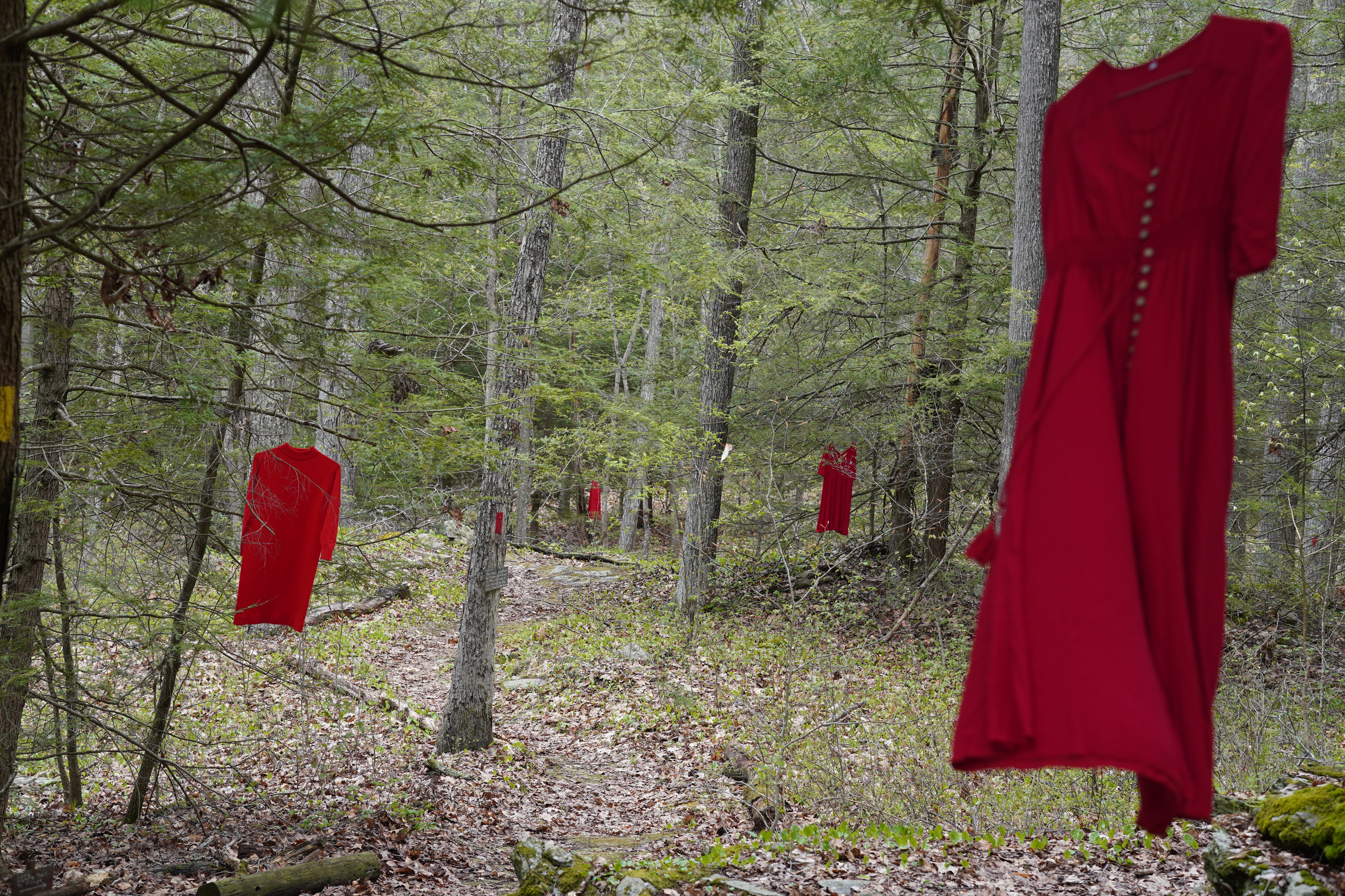 images of the red dress project, red dresses hanging on hangers in the forest