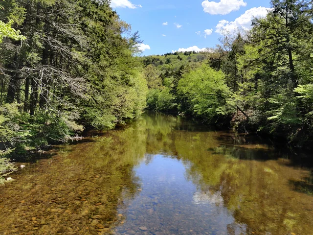 A picture of the Shepaug River