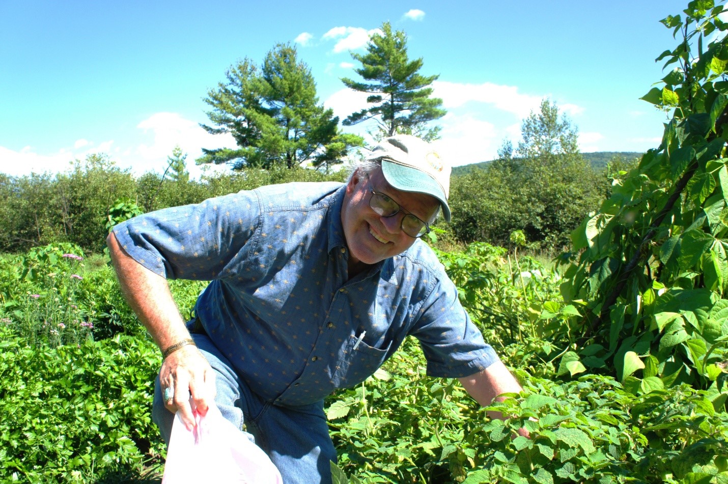 Dr. Wiseman kneeling in the wilderness.