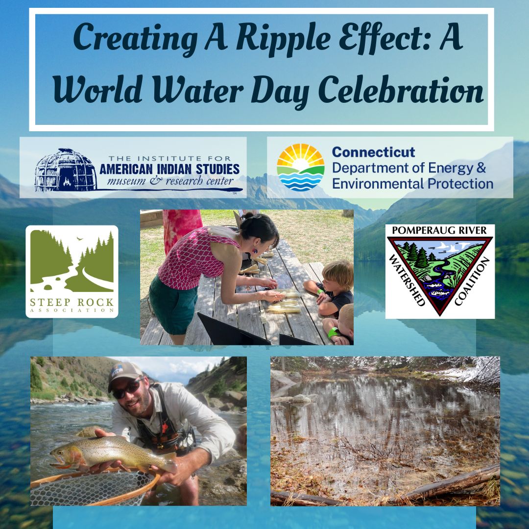 Creating a Ripple Effect flyer with photos of water protectors.