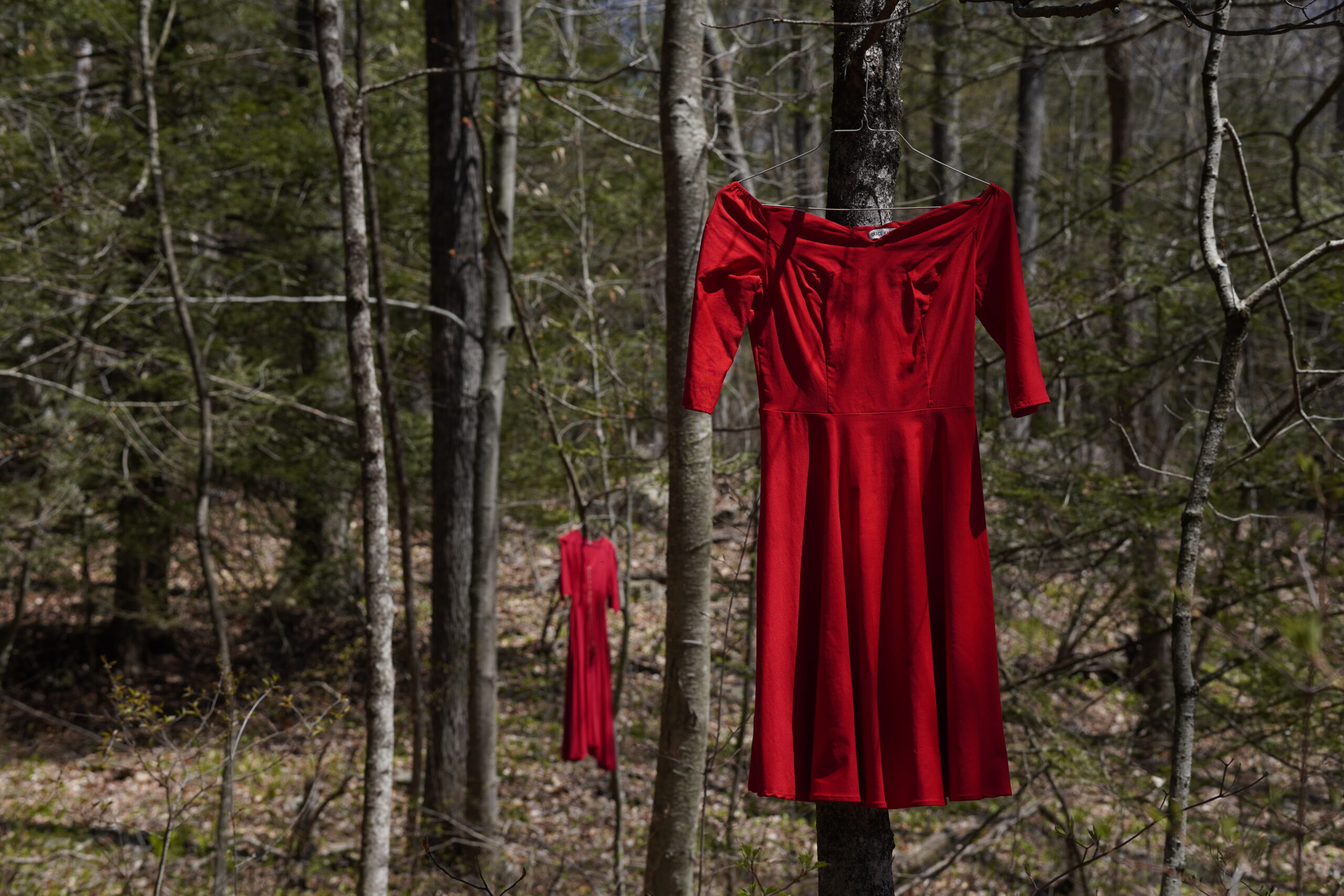 Red dress hanging in the woods for IAIS' May 2022 red dress trail
